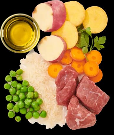 Antes - alimentação tradicional para cães