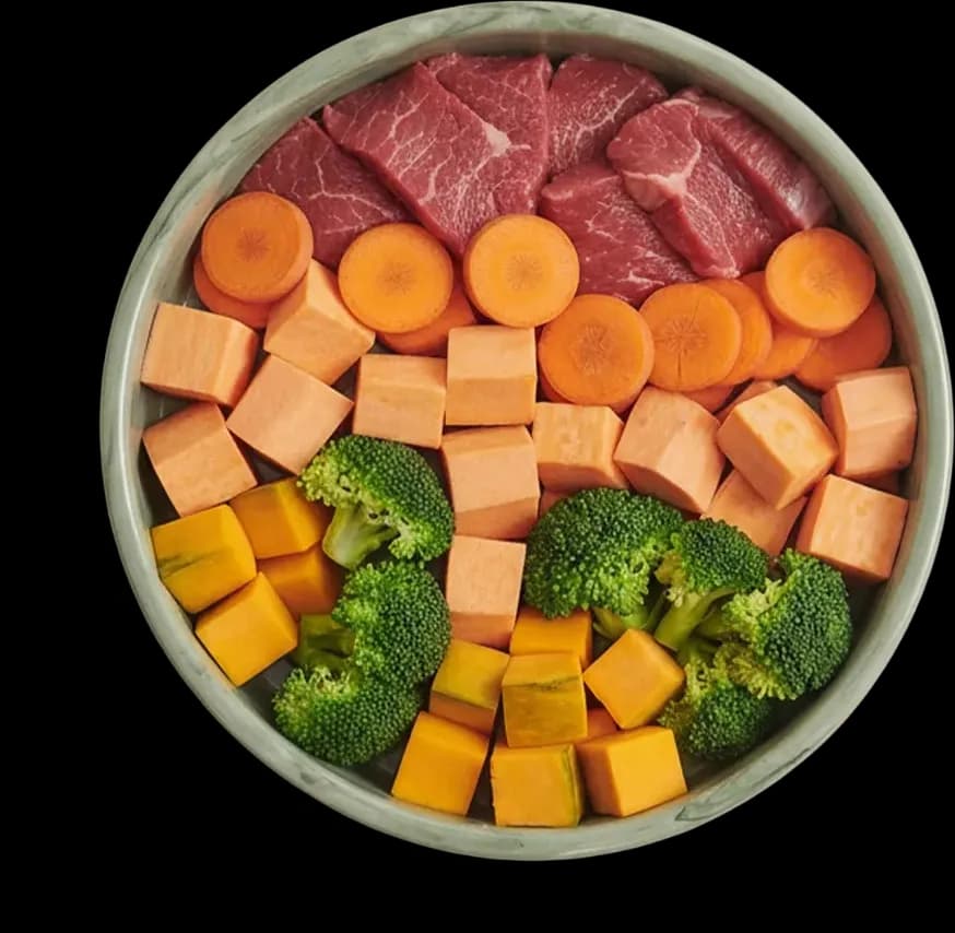 Antes - alimentação tradicional para cães