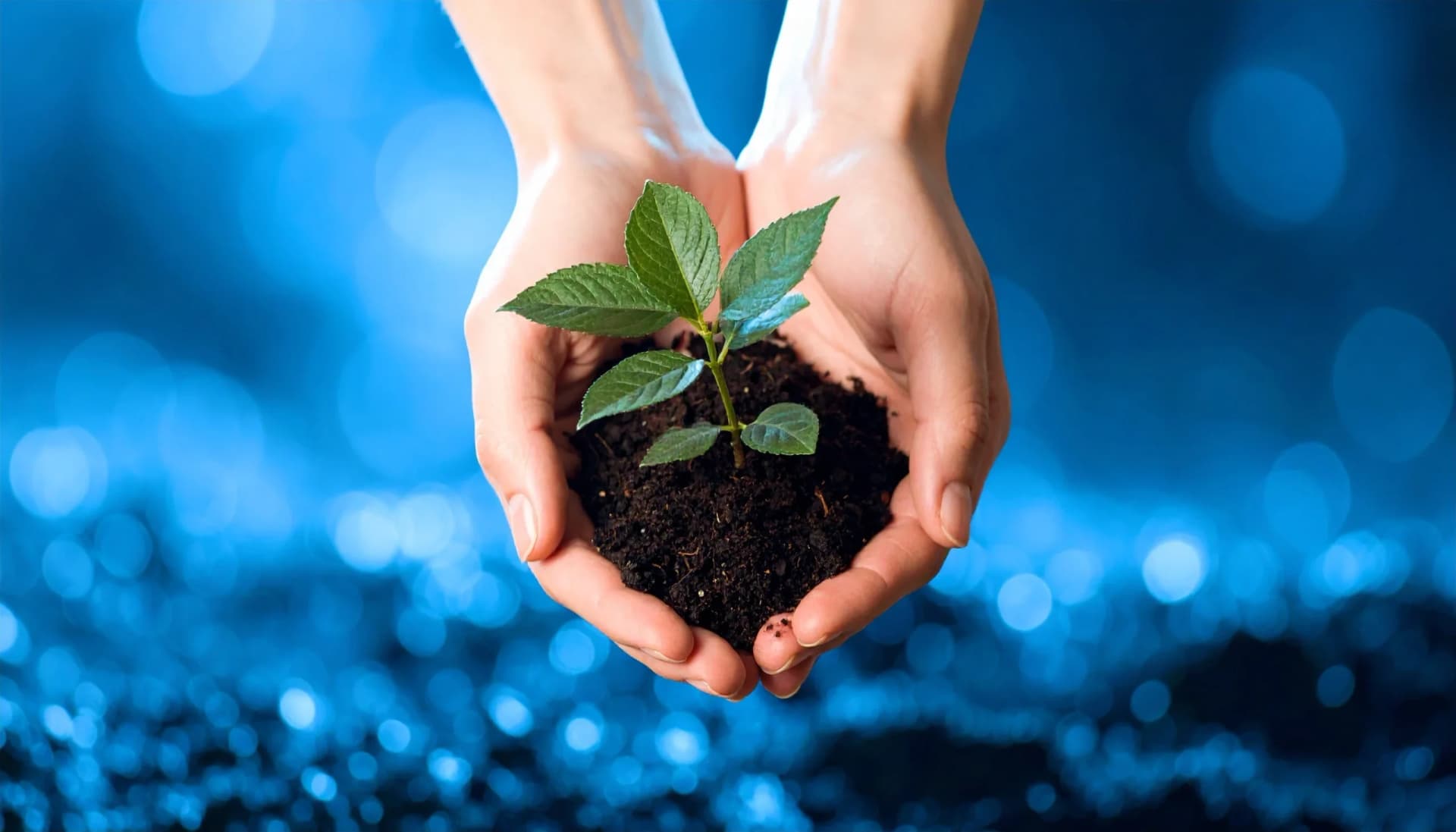 Escolher comida natural também é um ato de cuidado com o planeta